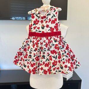Carter's Sleeveless Red and White Valentine’s Floral Girl Holiday Dress 24M